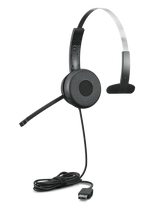 LENOVO 100 Mono USB Headset - 1Y